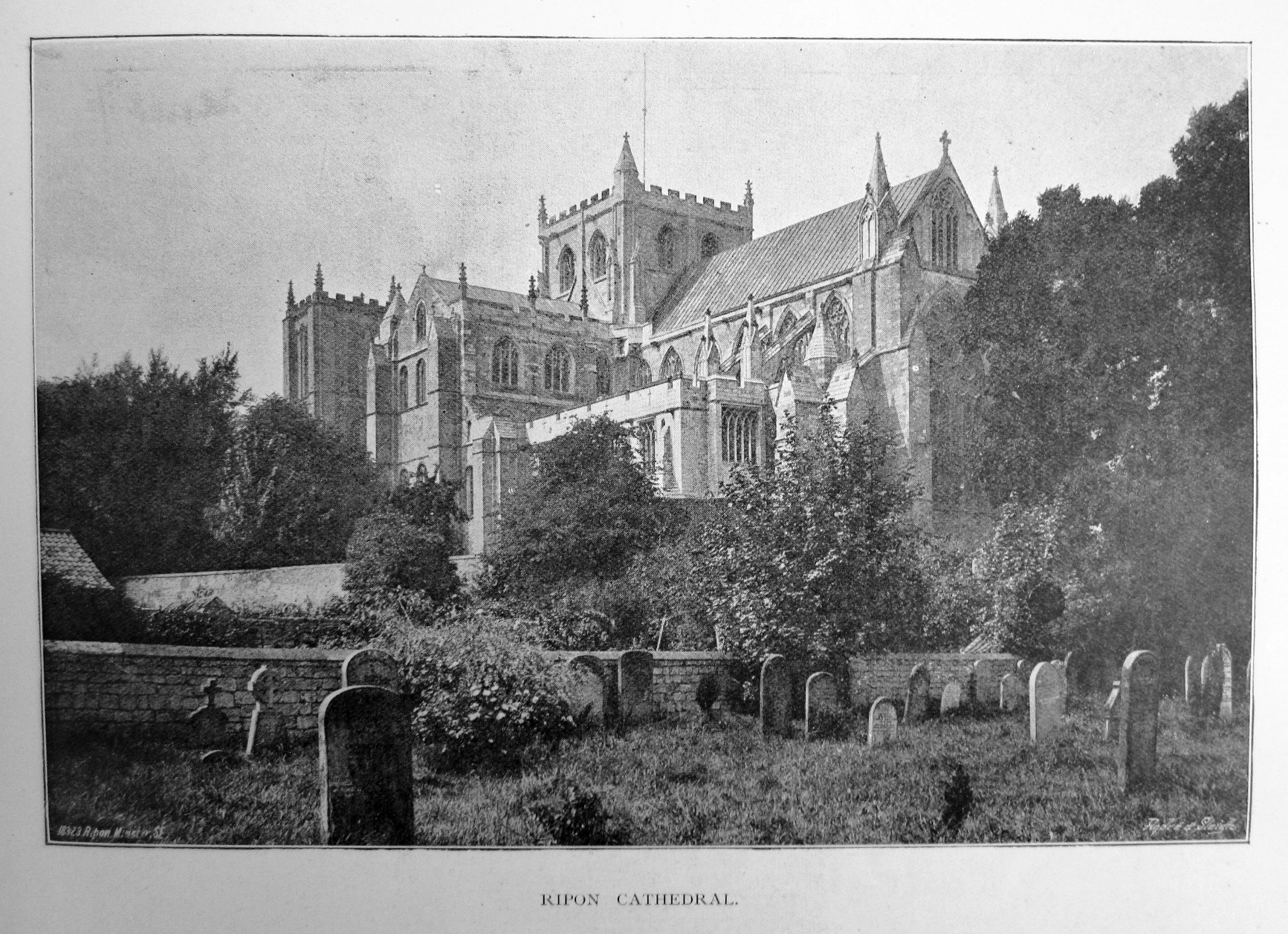 Ripon